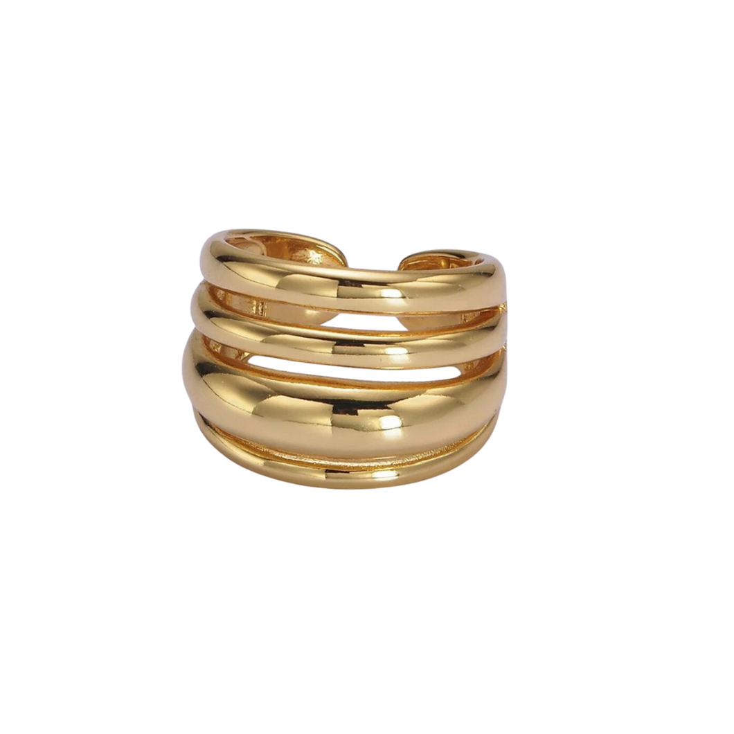 Benzi Ring