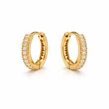 Load image into Gallery viewer, Celeste Hoops
