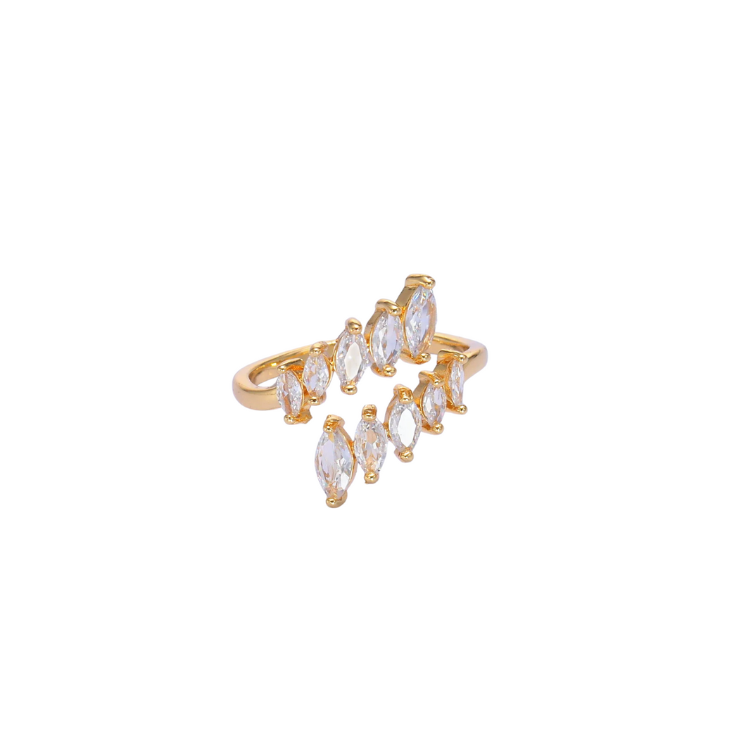 Gila Ring