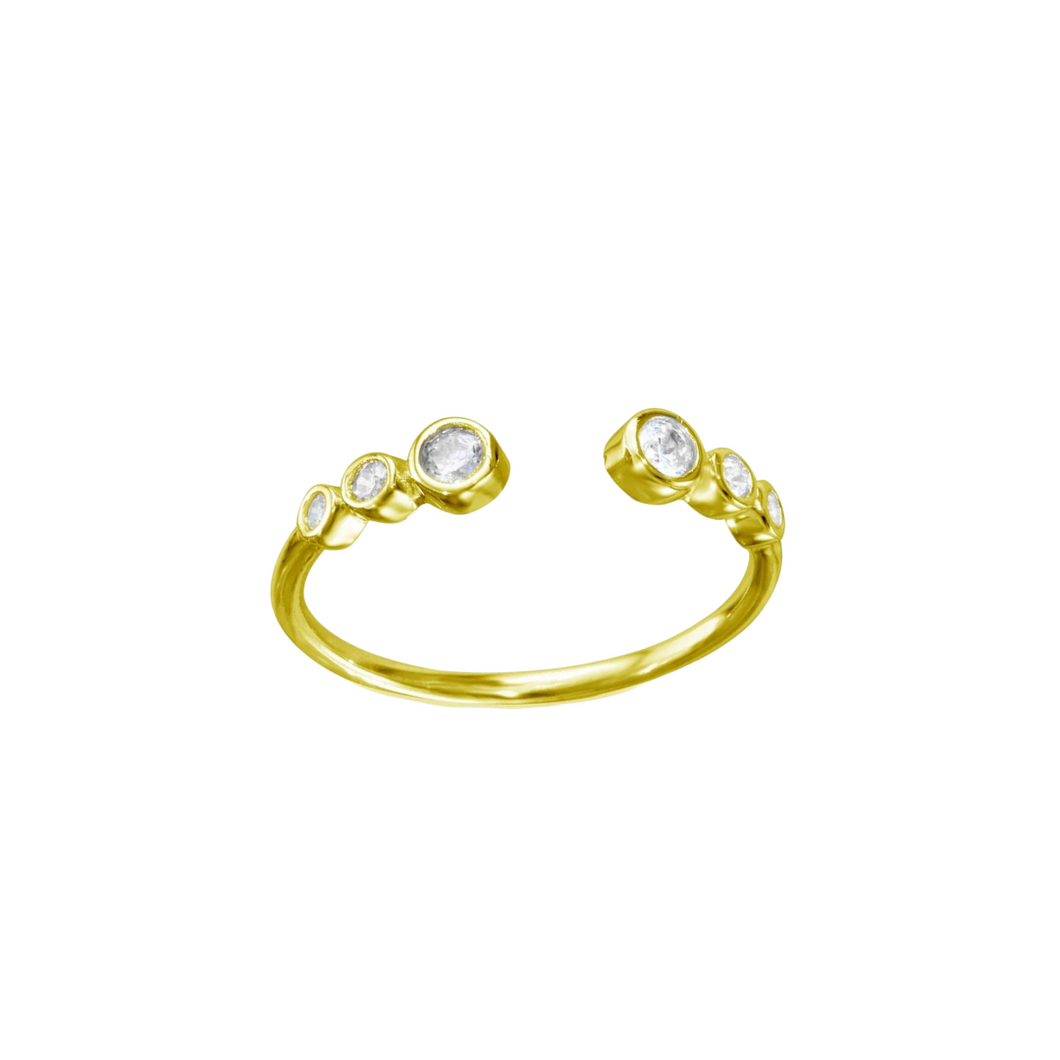 Nina Ring