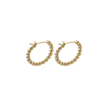 Load image into Gallery viewer, Lori Hoops
